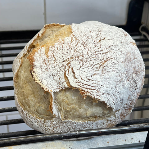 Pane Toscano
