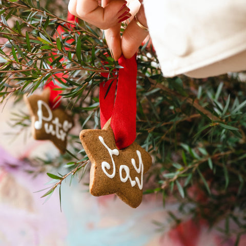 Ginger Star Decorations