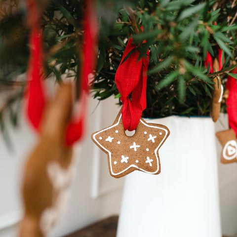 Ginger Star Decorations