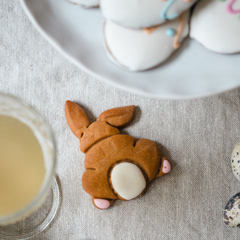 Speculaa's Rabbit n Carrot