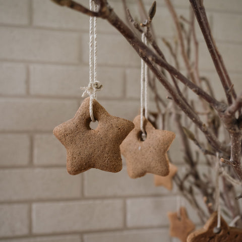 Ginger Star Decorations
