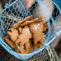 Honey Bunnies - pack of 12 (SCS) - Phillippa's Bakery